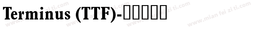 Terminus (TTF)字体转换